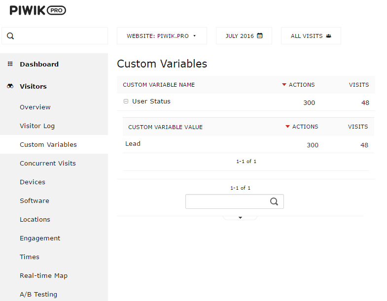 custom-variables-report