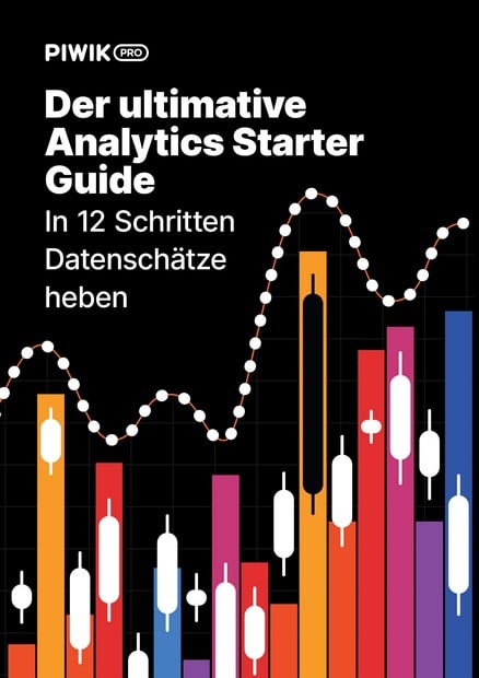 Der ultimative Analytics Starter Guide - In 12 Schritten Datenschätze heben